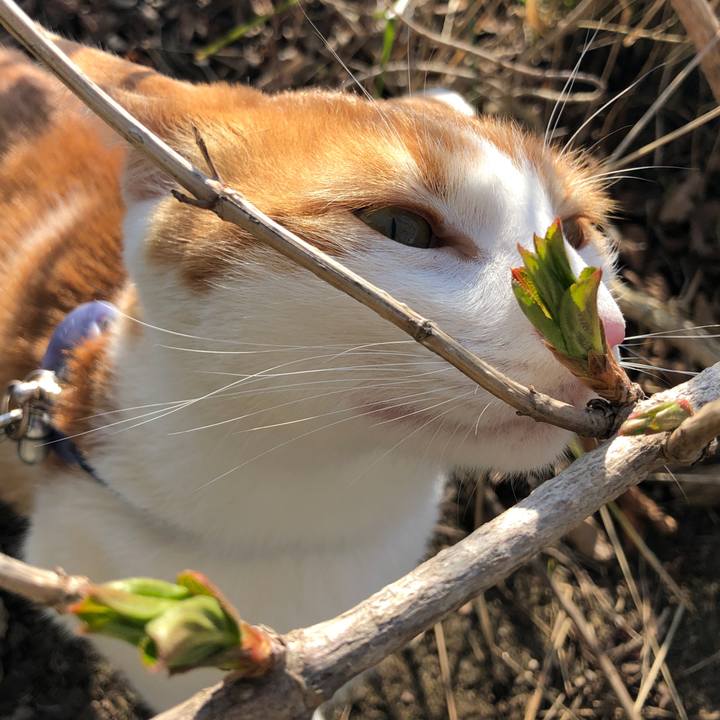 370141c3 cc40 4dff bdcb 4b668bf80c71 1554419686757