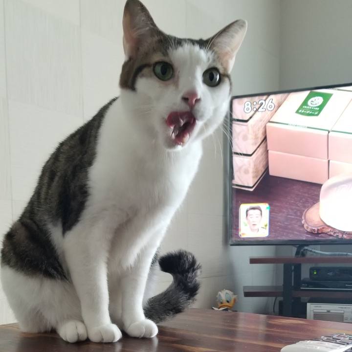 37014d7b b908 4a23 8c5e 3c2bf73177d5 1552088441600