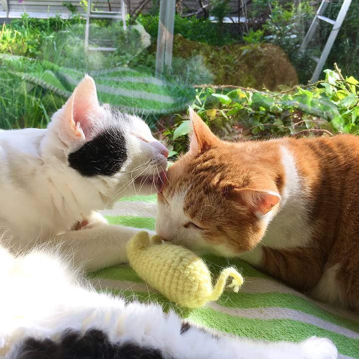 370166e7 c62e 44db 99c7 6202d874cf99 1620285542695