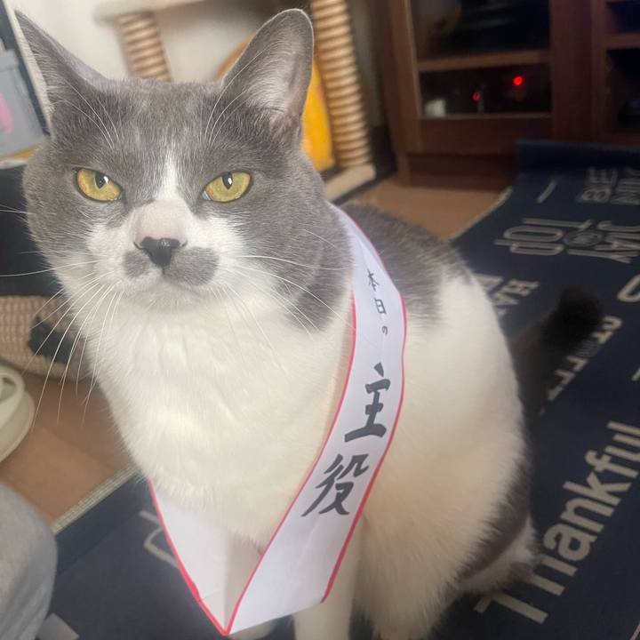 37017e86 a3fd 4831 9a9d 5fb5d3bc68fd 1708565201218