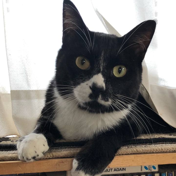 3701a503 4a74 4a24 8bfd 7e9b2f5210d9 1631158429885