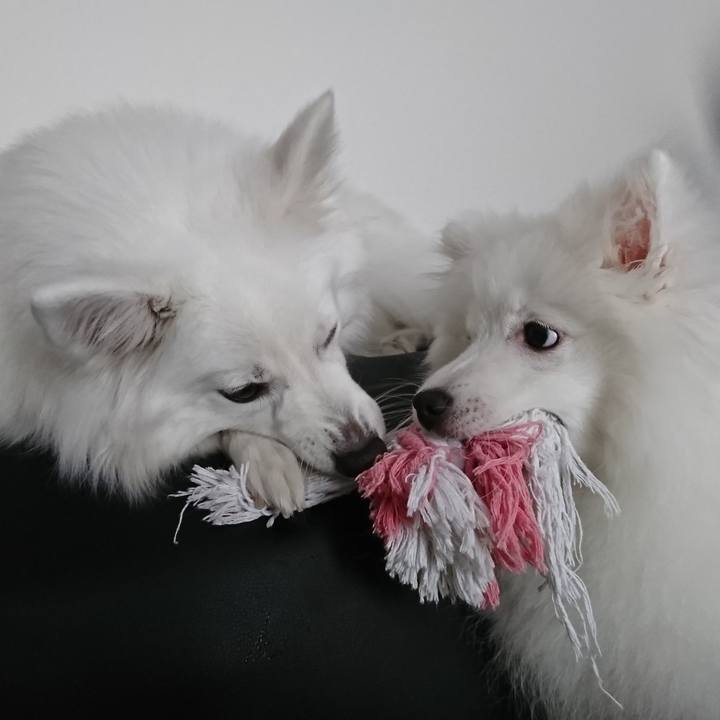 37022720 2327 40d4 b69a 5c8a911f38b1 1551069193463