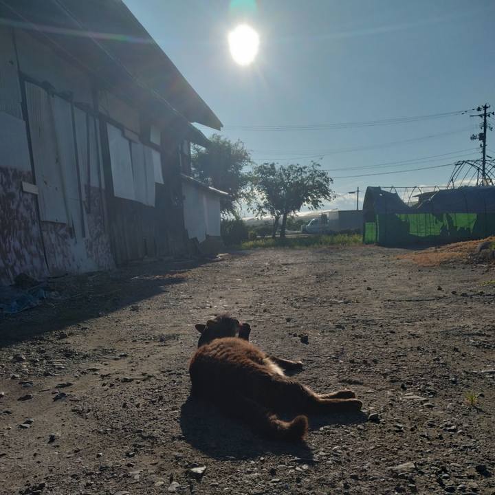 370241de 978a 4314 af79 c10e9294b939 1752442682485