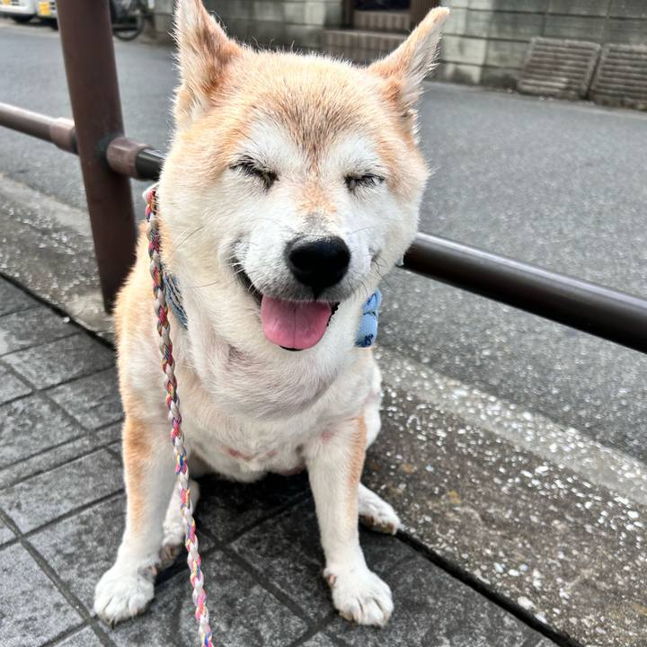 37025e43 8d89 4a95 a77a 74827726d969 1751670461235