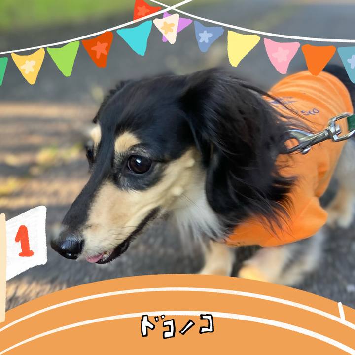 37026dca ba29 4988 8d7a b771ffa33a2b 1761816180551