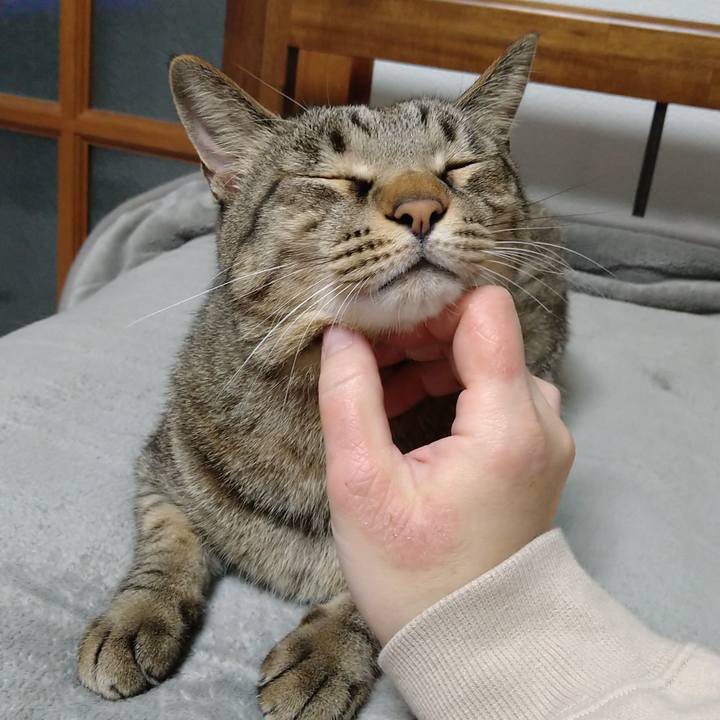 37027d7a 3cde 4fe9 be1e ddd63c332a5c 1639844750928