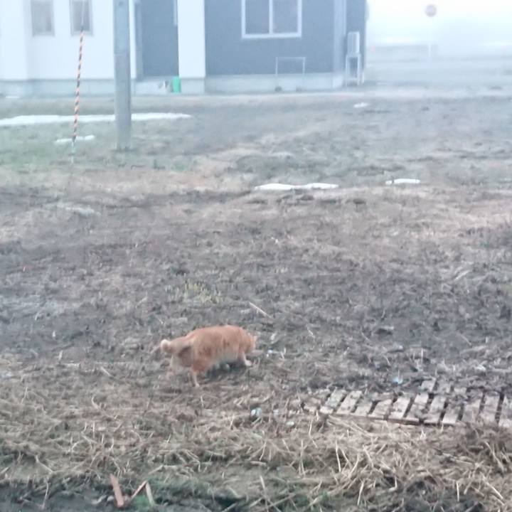 3702ab17 6372 4984 8249 81bb1e1a1d06 1649191711982