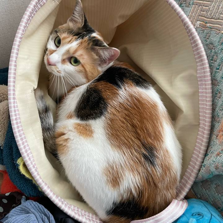 3702ac1e 5878 458a 8a05 0ee6a26081a0 1662180650597