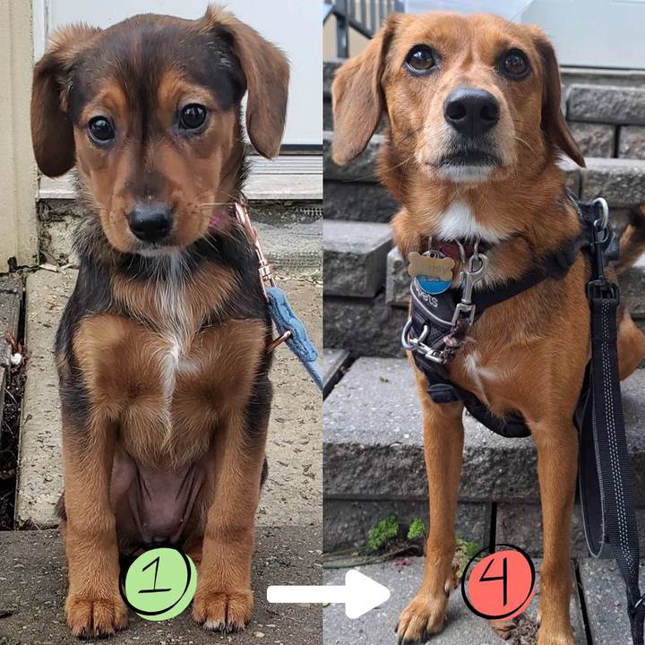 3702cd3e 8dfb 4c35 b233 43541d3b21b3 1761658382790