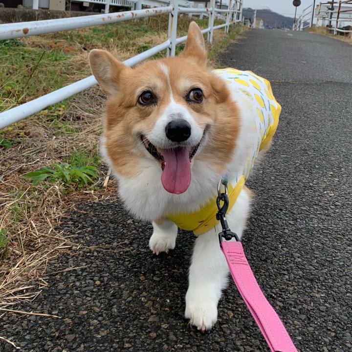 3702ecc7 11fc 4165 89ae 868f5f621ed1 1702602565343