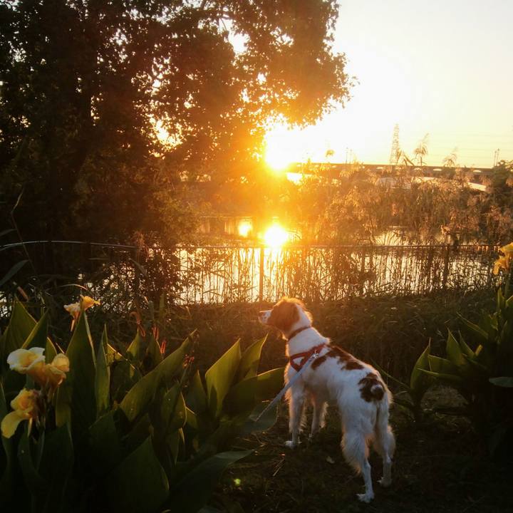 370302f5 7e71 41be 8340 a756f6df07f6 1539853219444