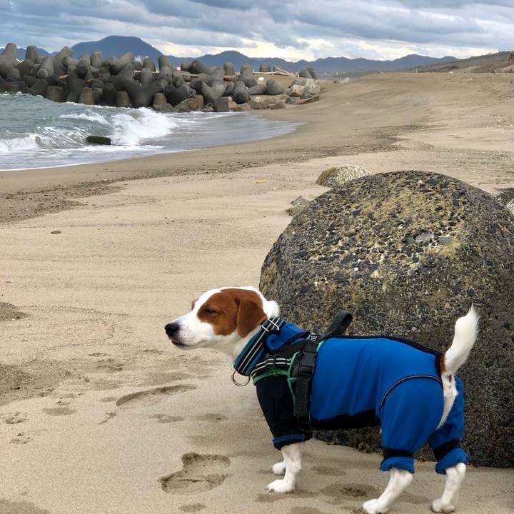 37030979 c98d 4325 8fef 004c14d6a554 1606974994092