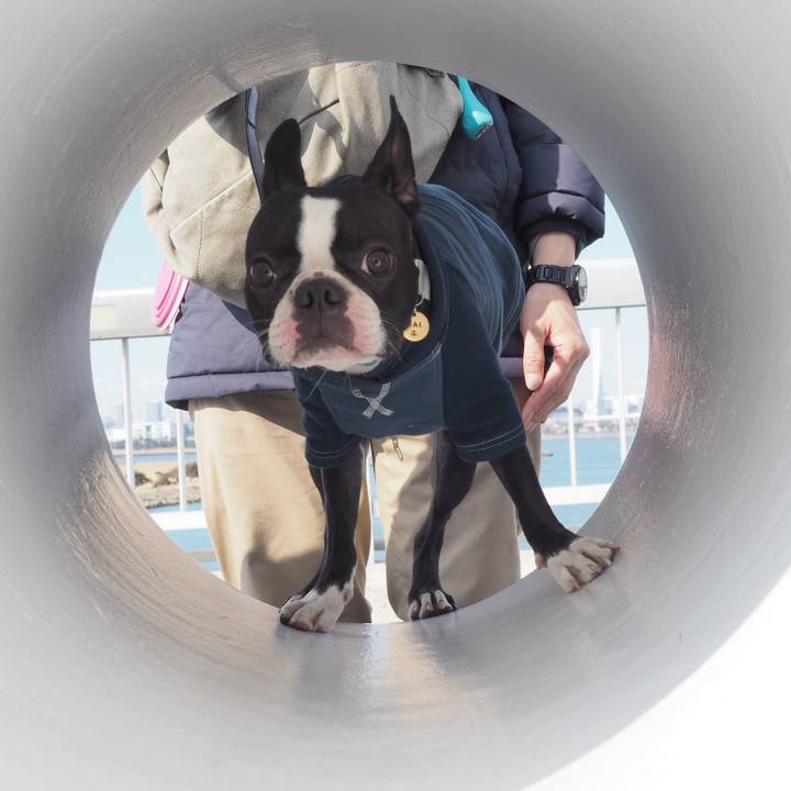 37030cb4 d2e2 4739 bed6 e150d51451c8 1548555618970