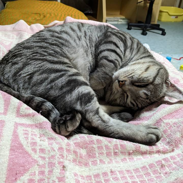 370349ad 1e27 4133 ac70 f7212d05daf0 1701941140305