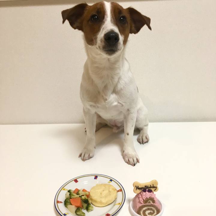 37035b28 69c6 472c bd7f 372ee8bf64da 1519901863520