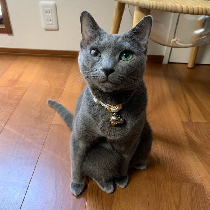 37037bc6 1a2d 4956 83d8 7f591ec662cb 1631251161369