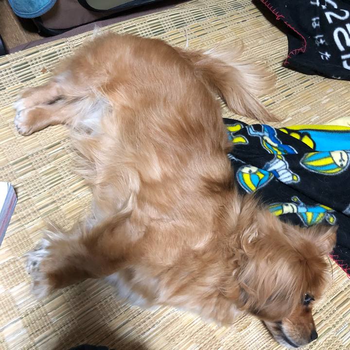 3703ae61 ac14 4df5 8f6a 2edd2aca62ab 1519551383270