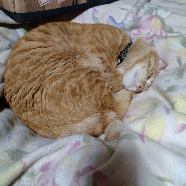 3703b212 702c 47dd 8592 f57133639894 1678884524692