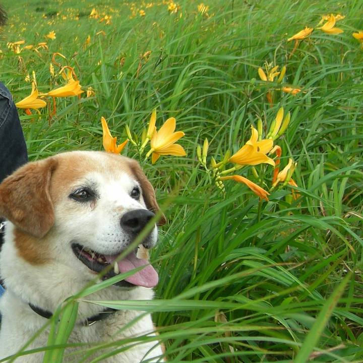 3703b99b 7ef9 4394 81b9 6f34aa5885d3 1540420507923