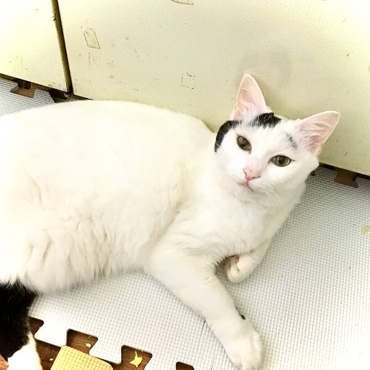 37040db7 889f 4bfb bc87 36fac28ab8d3 1596858256004