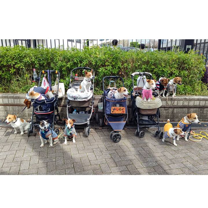 3704292c 3015 4f47 876b bc61232da893 1712493161684