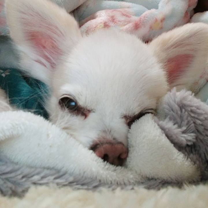 37044aeb 2956 4fd9 8395 3a6a6d002286 1581509398802