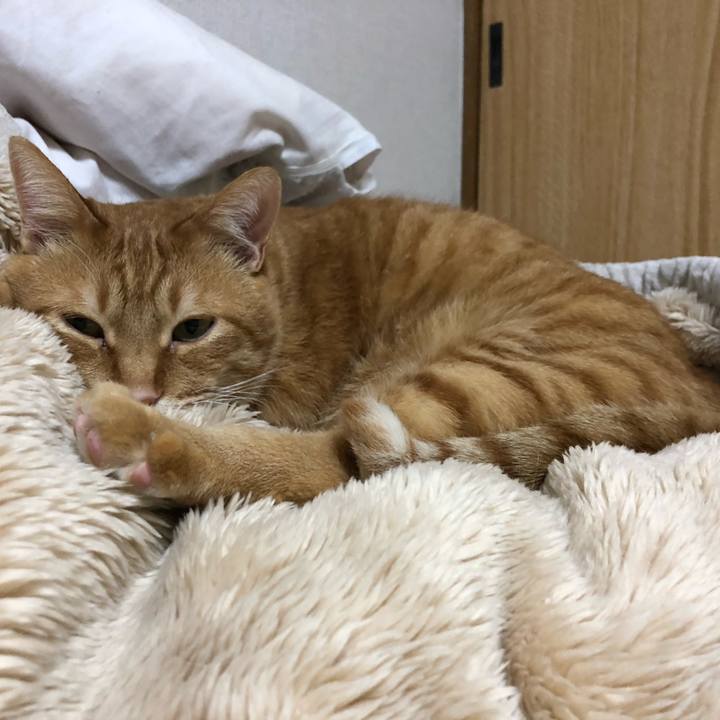 37046de6 3c79 4707 921f 9790252520f1 1607594568817