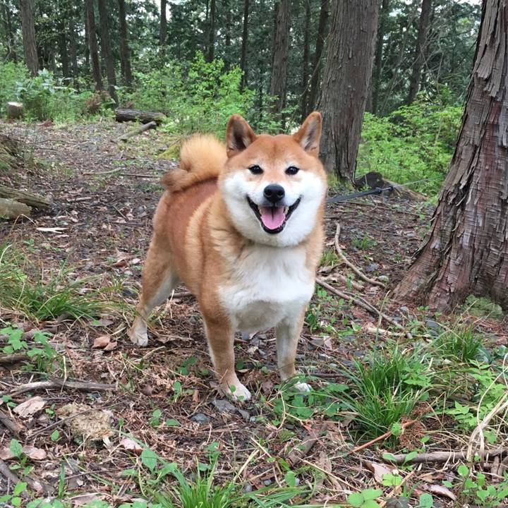 37047dab b182 4566 a06e 2f5fe90ffa86 1555990023443