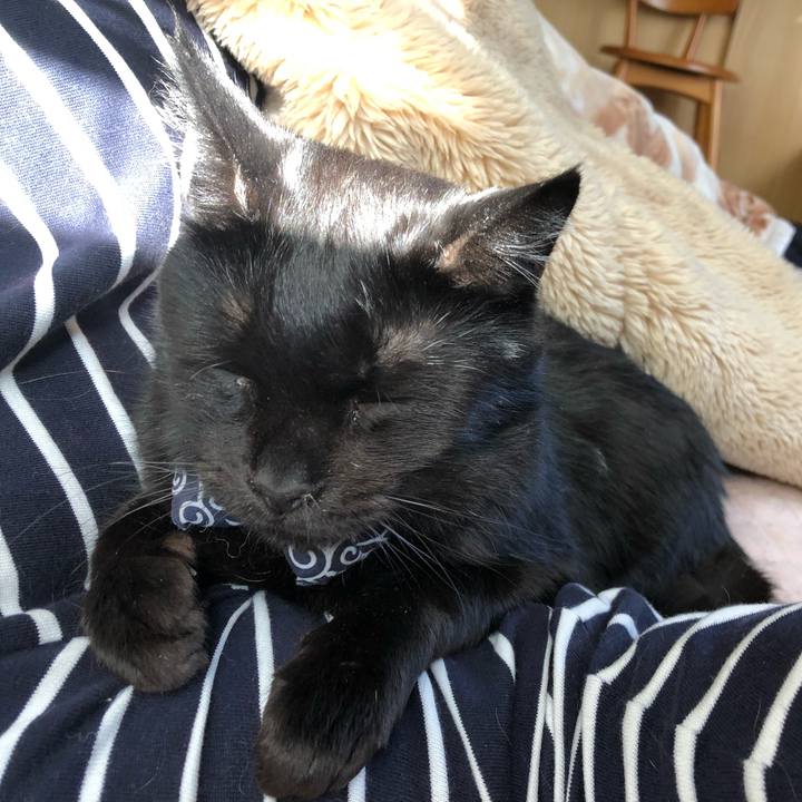 370486e0 b201 4029 8805 3a665dd45bbd 1559219013714