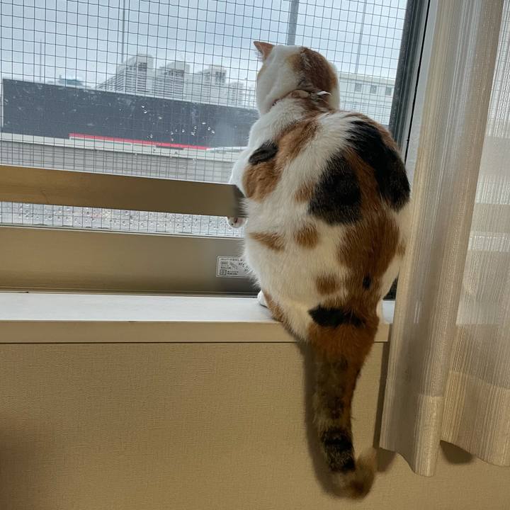 370489f5 7c13 4340 a826 74e85418958d 1628825182047