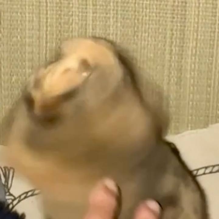 37048c6d 3acf 481a af76 7b30f4933fd6 1749151049153