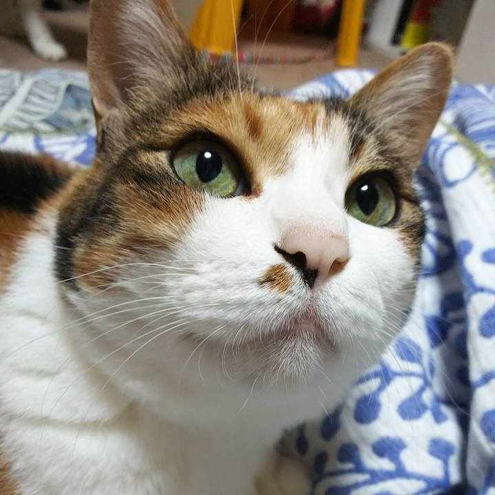 3704a10c 44d7 42d1 8ac6 d21ed4276cbe 1532295731431