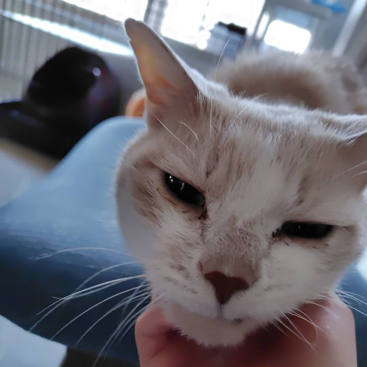 3704b635 9adf 4c1b 8a9d 8f5e52113287 1737671493885