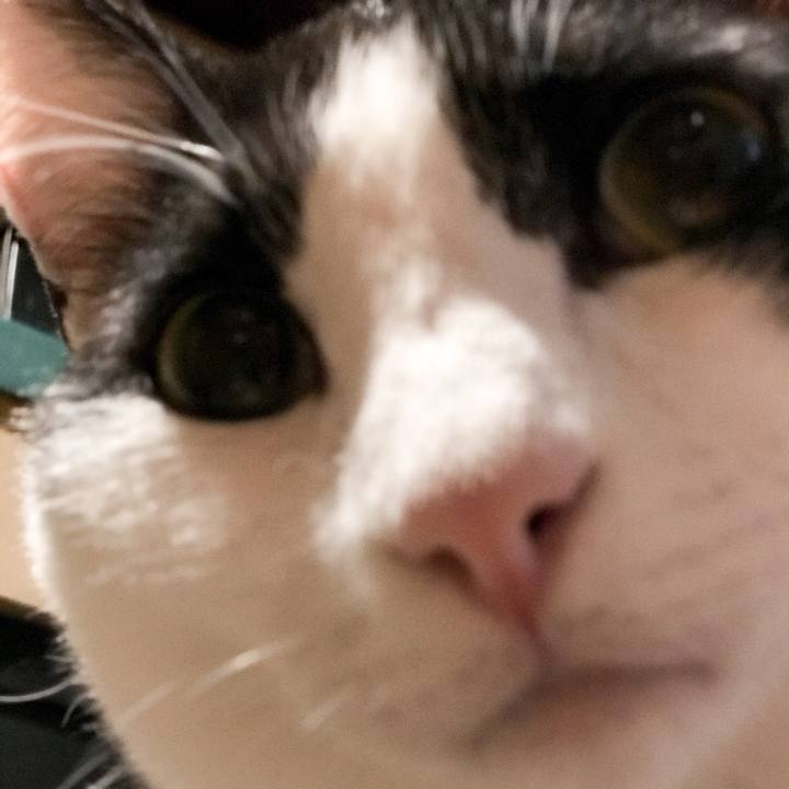 3704be1e de68 45a2 a1eb 663bb95ae746 1527901889030