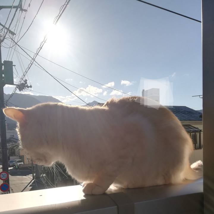 3704c0c4 5c94 4d4c 87cb 03e95f14cb9e 1704070607508