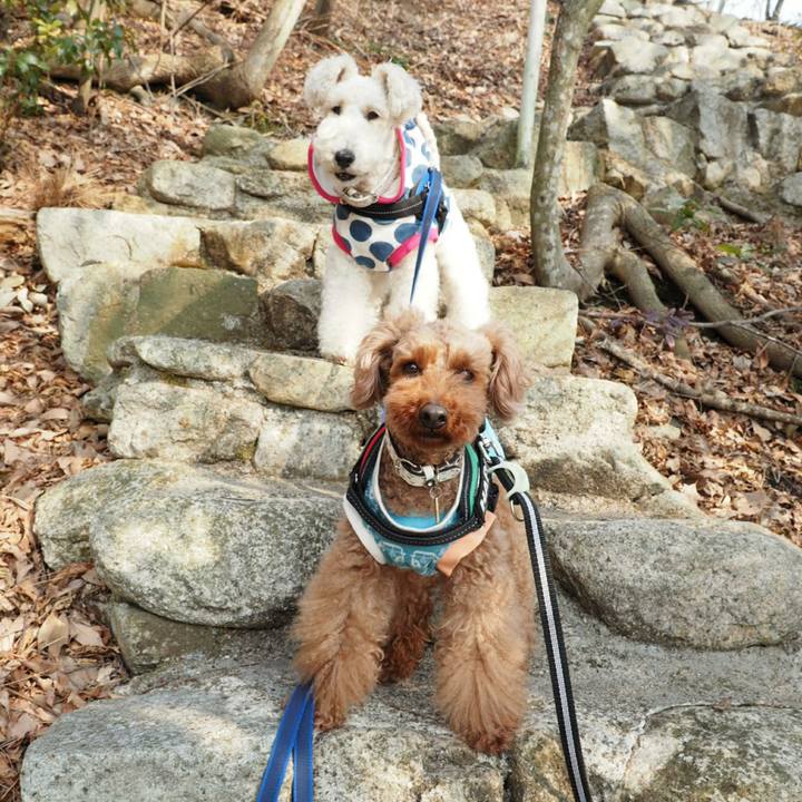 3704d5c6 bab1 496e a8d4 f2900e9a88aa 1519447648970