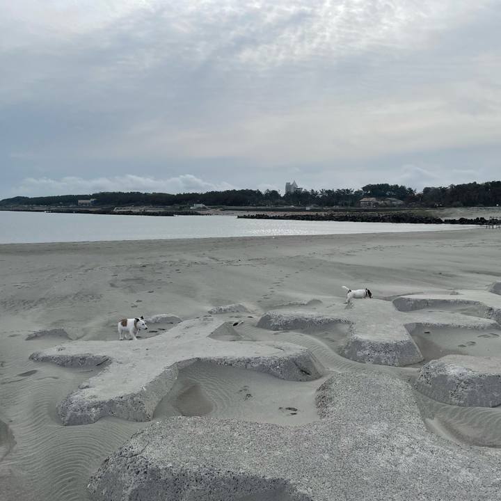 3704d6ba 9cb2 413a ab1d de5d87d3d5f4 1745538970547