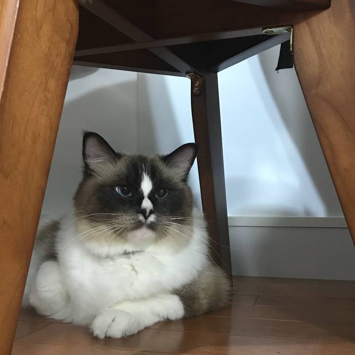 3704feb7 0daa 46ab b0e4 7637ba707d6d 1511912465340