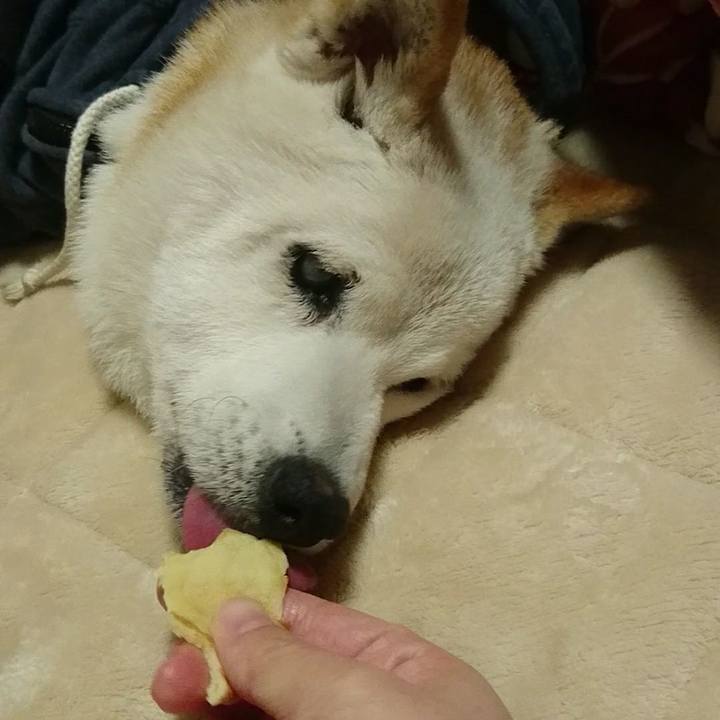 37050cbe 77eb 49ec a836 37e042ee8430 1512739327806