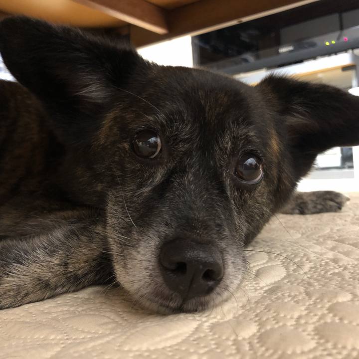 37050e06 be9b 4e4f ba2f 50be6e0c5e07 1596586870070