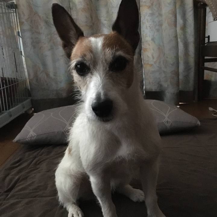 3705281e 6baa 4bf6 80d3 a7727edc6625 1616542441845