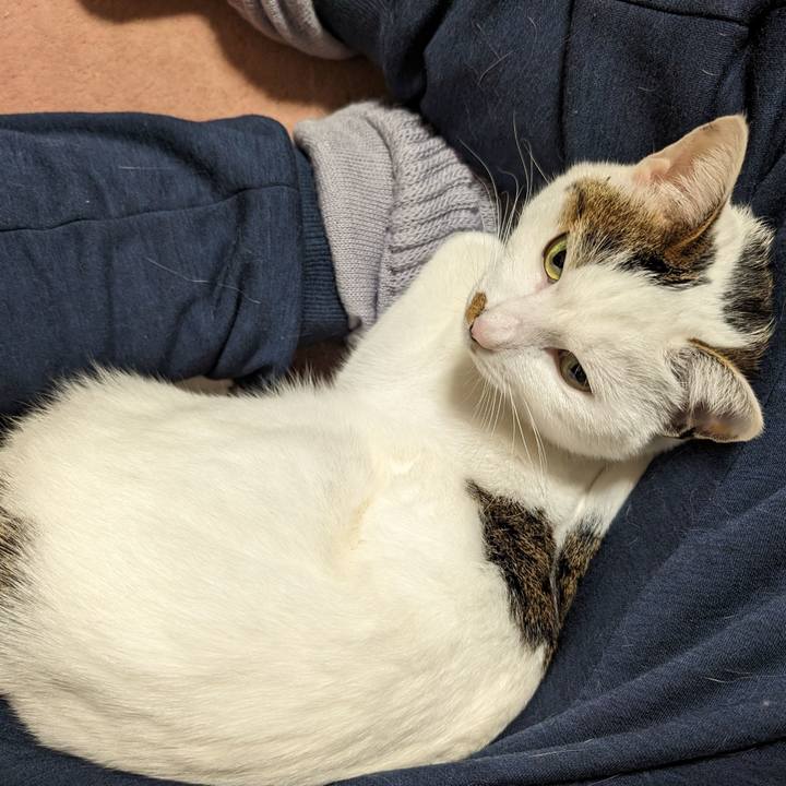 3705406f 29e4 44e6 9a50 e71a89dc1af5 1706011739452