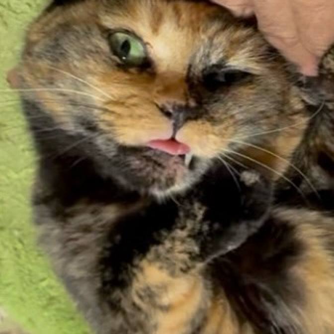 3705424c 0fbd 4298 b91d 4f2b1e25824b 1755898271877