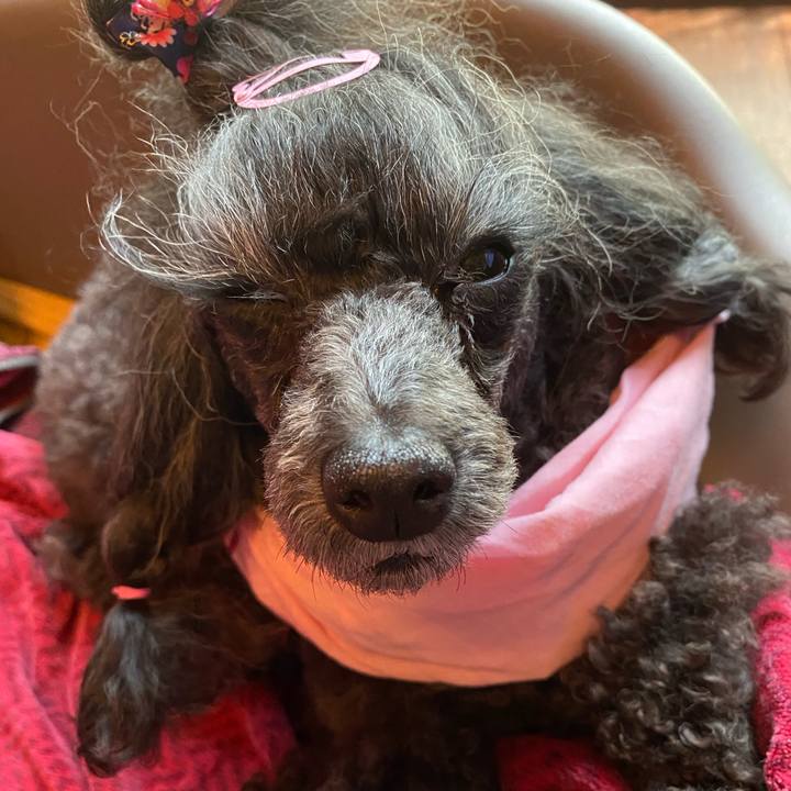 370542f6 0ad5 469b 969f 766f17f47054 1688423404364