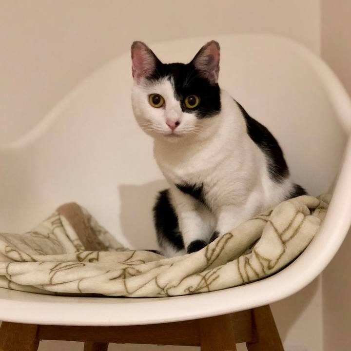 370552f7 397b 4720 8ce4 0495b47a93fd 1538391582888