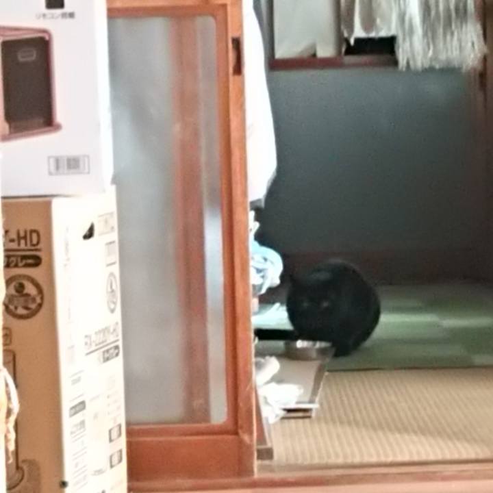 3705b53d 31dc 4e41 a41a 8201c21c6b63 1613887275409