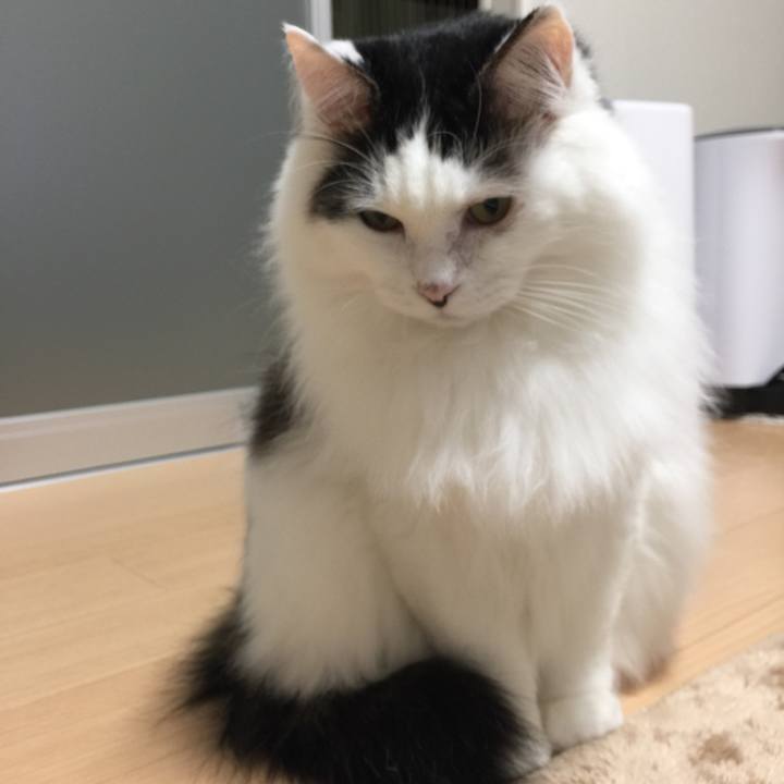 3705f8ab 66f9 499a 97c7 d4bd81f2abd0 1513603184084