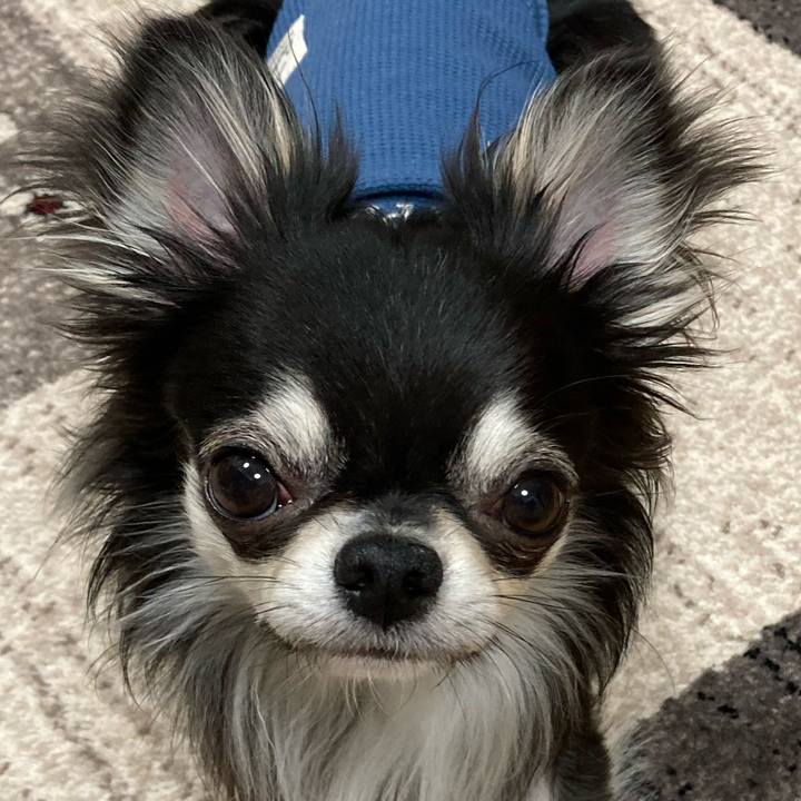 37062431 1d62 4cc7 9dc7 aa85a1fd282b 1616247604100