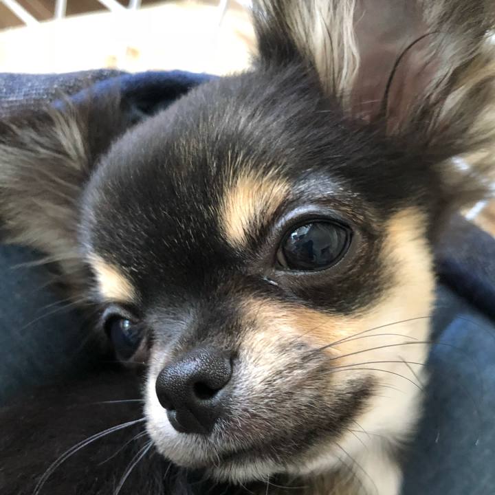 3706ecbe e654 4ad9 996a 447f948067f2 1537691352746