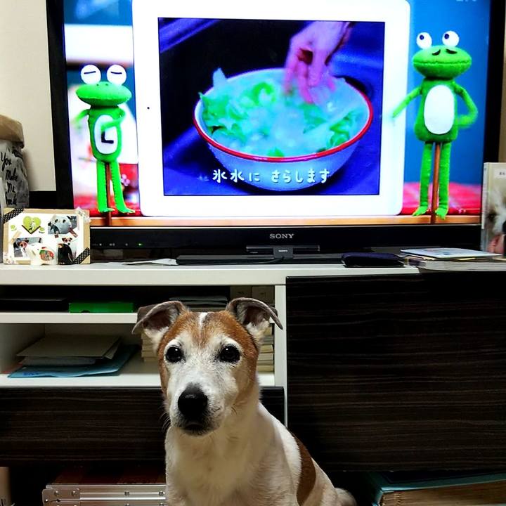 3706f597 780f 4fb4 89d0 4d903d87cae9 1551997547733